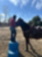 IMG_0931.jpeg
