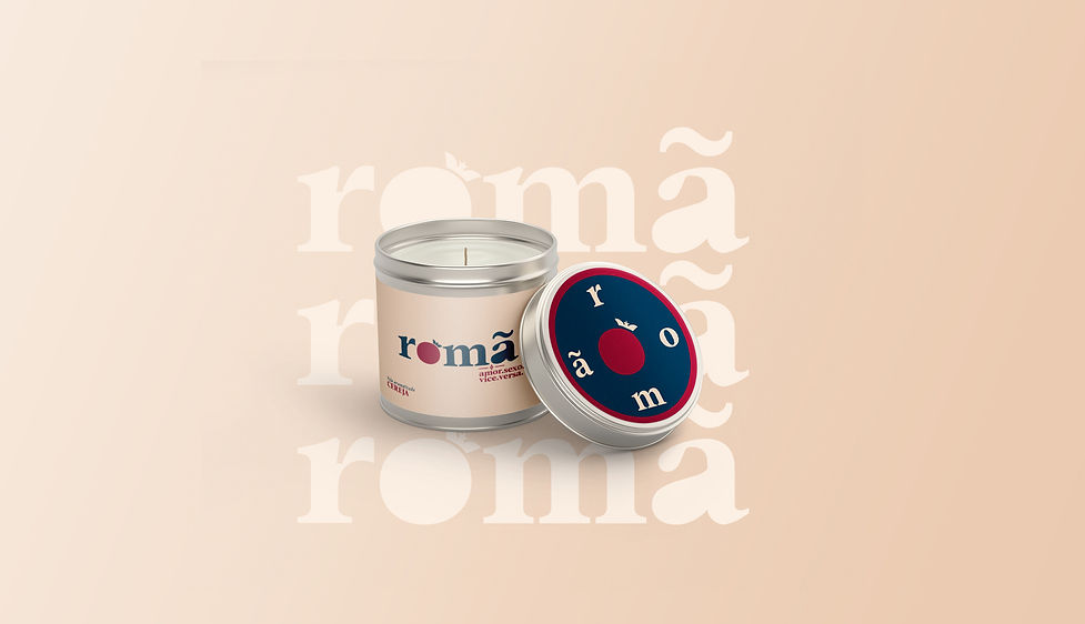 roma-apt_02.jpg