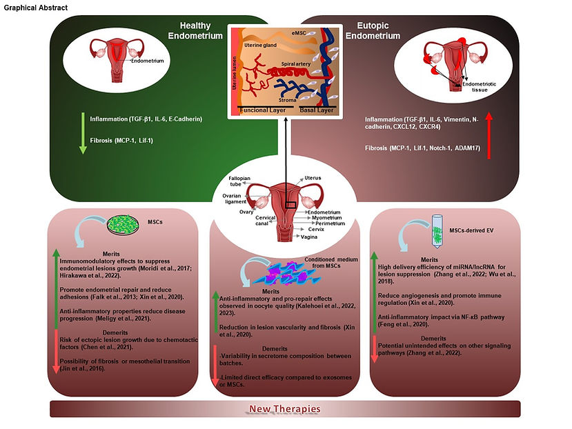 Graphical Abstract.jpg