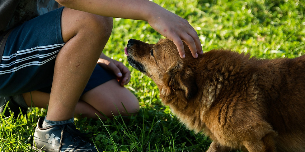 Trainingsspaziergang Körpersprache Hund-Mensch