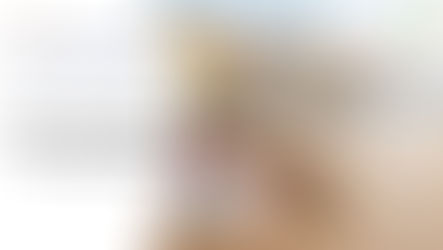 Visa lao động tại Đan Mạch