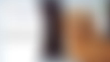 Hướng dẫn chuyển đến Thụy Điển với thú cưng