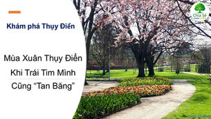 Mùa Xuân Thụy Điển – Khi Trái Tim Mình Cũng “Tan Băng”