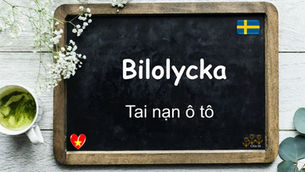 Mỗi ngày một từ - Bilolycka