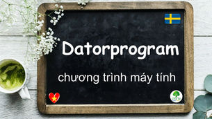 Mỗi ngày một từ: Datorprogram