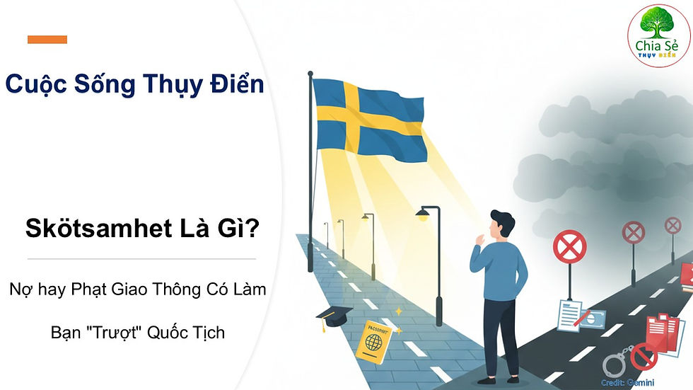 Skötsamhet là gì?