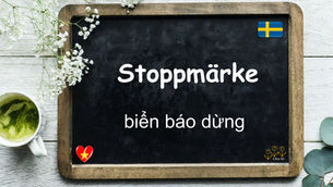 Mỗi ngày một từ - Stoppmärke