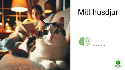 2001_A1 bai 1_Bing.jpg