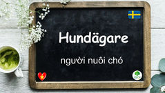 Mỗi ngày một từ - Hundägare