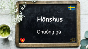 Mỗi ngày một từ - Hönshus