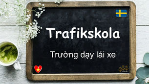 Mỗi ngày một từ - Trafikskola