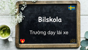 Mỗi ngày một từ - Bilskola