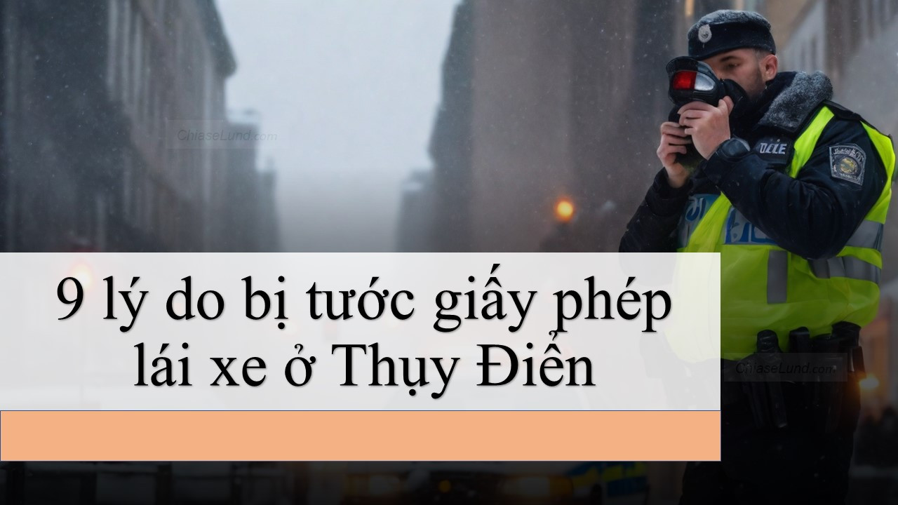 9 lý do bị tước giấy phép lái xe ở Thụy Điển