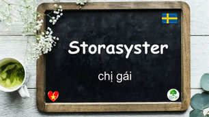 Mỗi ngày một từ: Storasyster