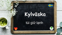 Mỗi ngày một từ: Kylväska