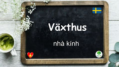 Mỗi ngày một từ - Växthus