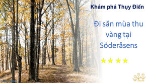 Đi săn mùa thu vàng tại Söderåsens