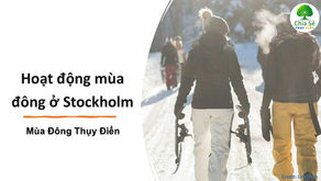 Hoạt động mùa đông ở Stockholm