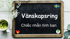 Mỗi ngày một từ - Vänskapsring