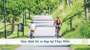 Quy định lái xe đạp tại Thụy Điển