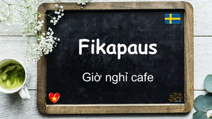 Mỗi ngày một từ - Fikapaus