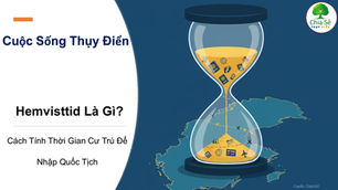 Hemvisttid Là Gì