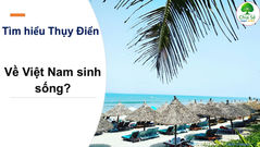 Về Việt Nam sinh sống: Hướng dẫn chi tiết cho người có TR, PR và Quốc tịch Thụy Điển