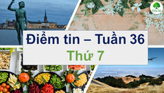 Điểm Tin Tuần 36