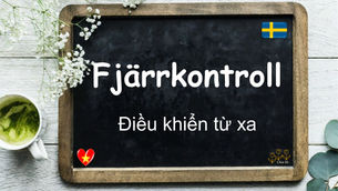 Mỗi ngày một từ - Fjärrkontroll