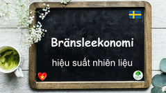 Mỗi ngày một từ - Bränsleekonomi