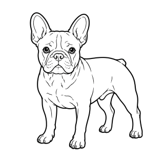 Paws and Colors Logo (2)