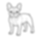 Paws and Colors Logo (2)