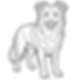 Paws and Colors Logo (9)