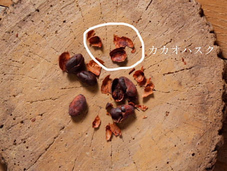カカオの第二の生命
