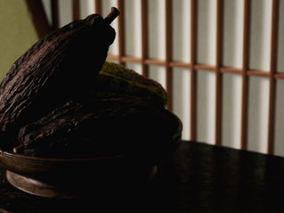 カカオと、静かに向き合うということ