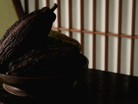 カカオと、静かに向き合うということ