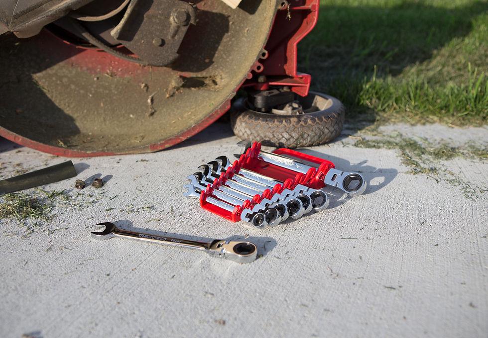 Spring is on its way!