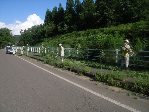除草作業.JPG