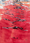 Southern Ocean Seal II