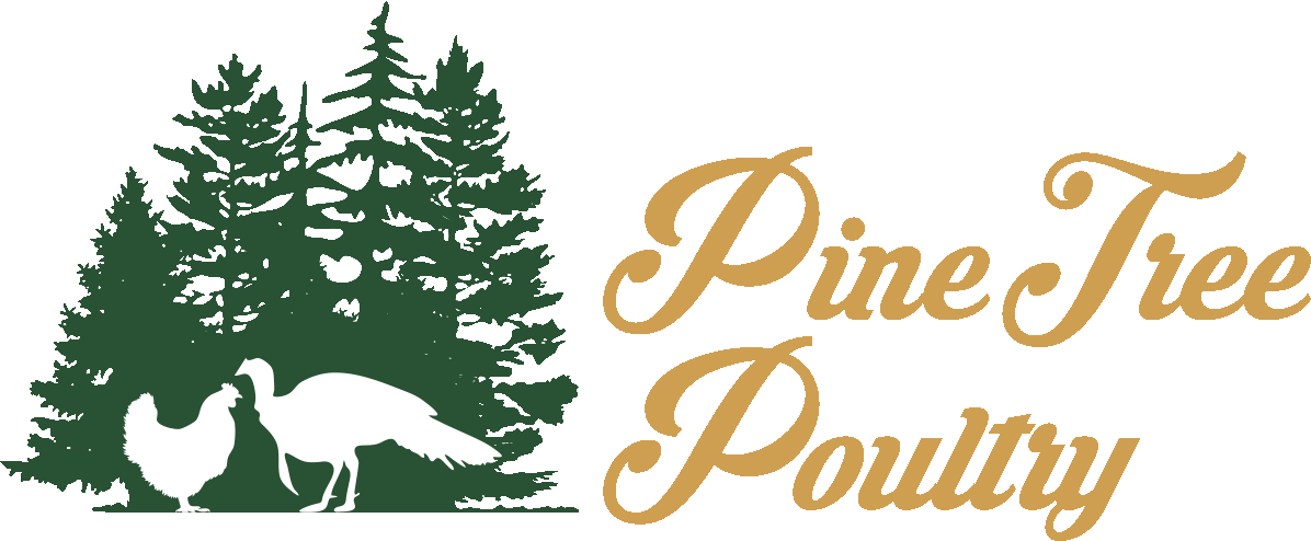 Pine Tree Poultry Logo.gif