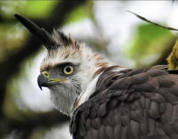 1000021264_b08bd7a98696475de29bbb428b5c618f-16_3_2024, 3_58_24 p. m.