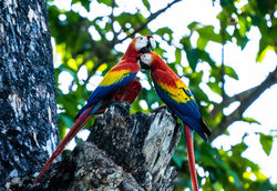 83032901_10221028069104986_6905908332196790272_o