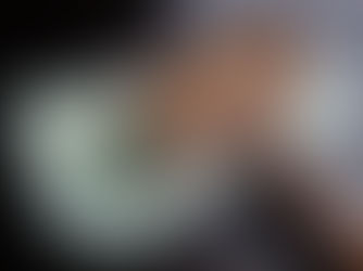 The Affordability and Convenience of Setting Up a Living Trust: Attorney vs. DIY with 299trust.com