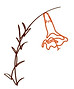 Image 3-12-25 at 11.20 AM.jpeg