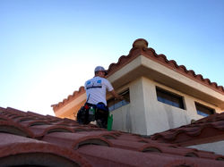 We Don't Forget Your Roof Windows!