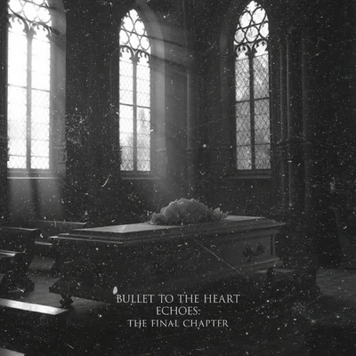 Bullet to the heart echoes the final chapter