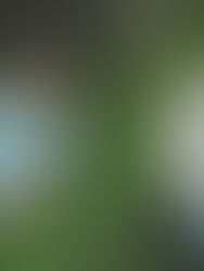 Wotts regresa con “ALLO!” un adelanto de su nuevo EP “PETALS”