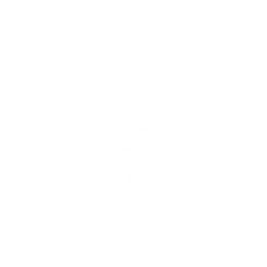 DAYRECORDING.png