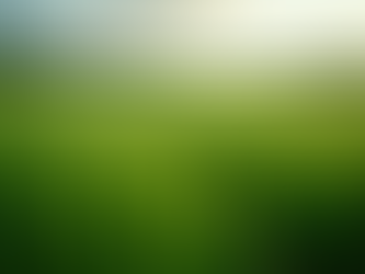 Understanding the Basics of Holistic Health