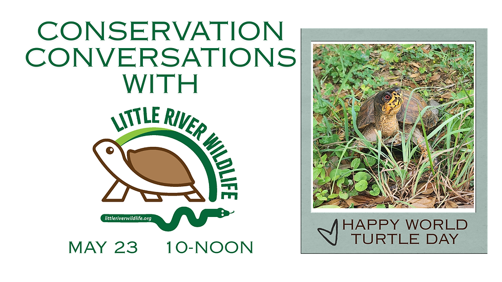 TAKE ACTION: Conservation Conversations: Little River Wildlife Rehabilitation